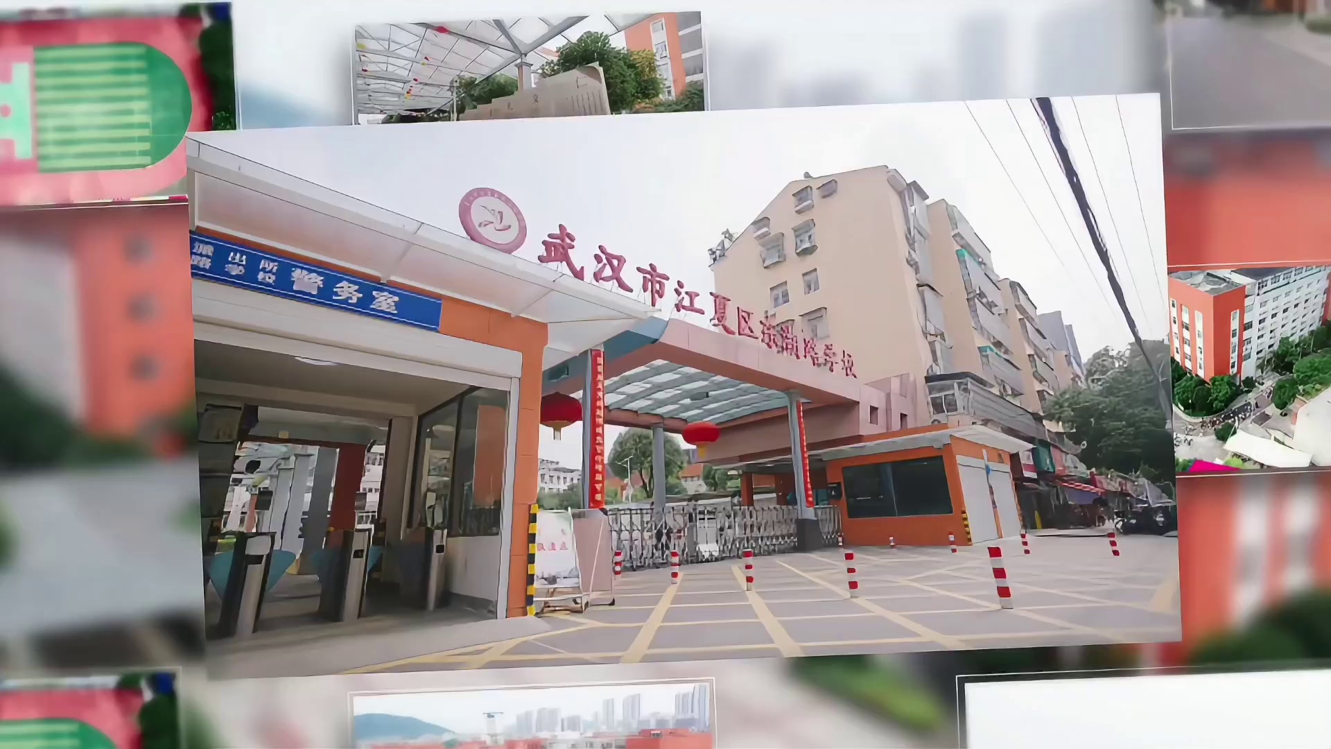 十全师美 育见乐雅丨用趣味解法解开孩子成长心结（视频）