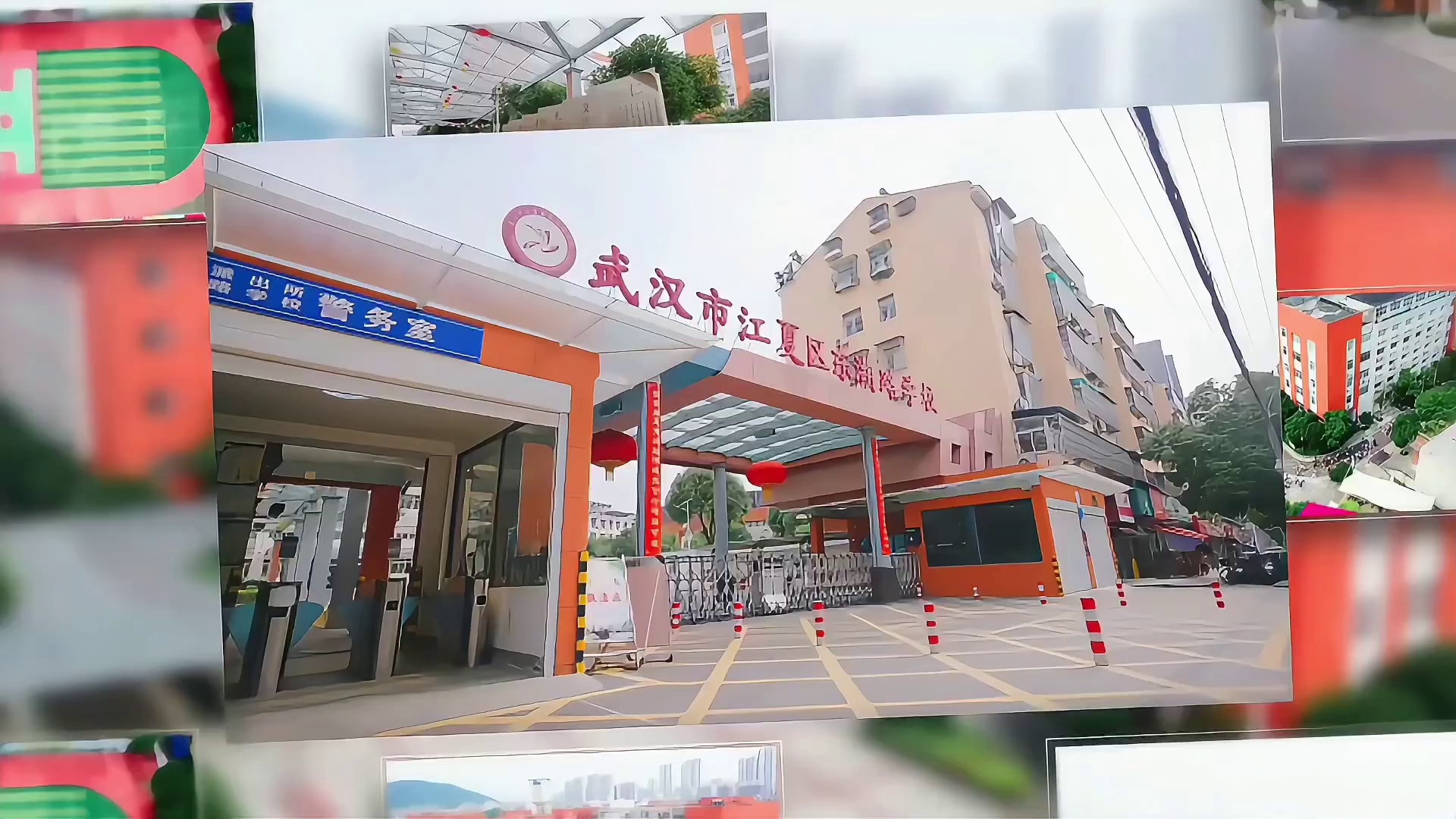 十全师美 育见乐雅丨把学习当成终身修行（视频）